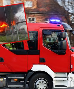 Dym nad Poznaniem. Palił się pociąg, obok jechali kibice Legii