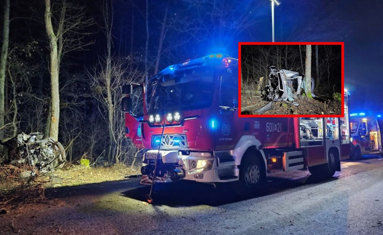 Próbował ominąć sarnę, rozbił samochód na drzewie. Dramatyczny wypadek