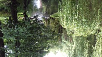 Pogoda w Olsztynie. Prognoza na wtorek 31 marca. Chłodno, przejaśnienia i bez opadów