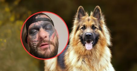 Popek oskarżony o zoofilię. Na nagraniach widać też dziecko