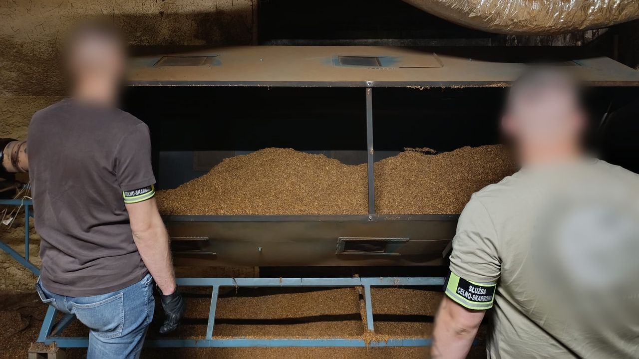 14 ton nielegalnego tytoniu i cała fabryka w rękach służb. Gigantyczna akcja na Mazowszu i w Łódzkiem