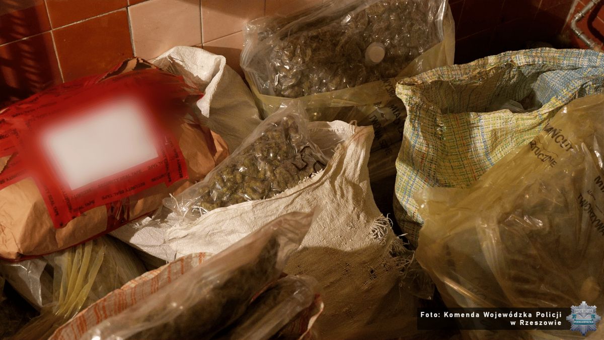 Rekordowa akcja na Podkarpaciu. Ponad 60 kg narkotyków, broń i pół miliona w gotówce – gang rozbity po dwóch latach śledztwa