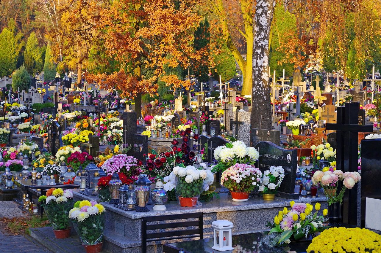 Kwiaty na grobach mogą zachować świeżość na dłużej. Potrzebna jedynie zapałka