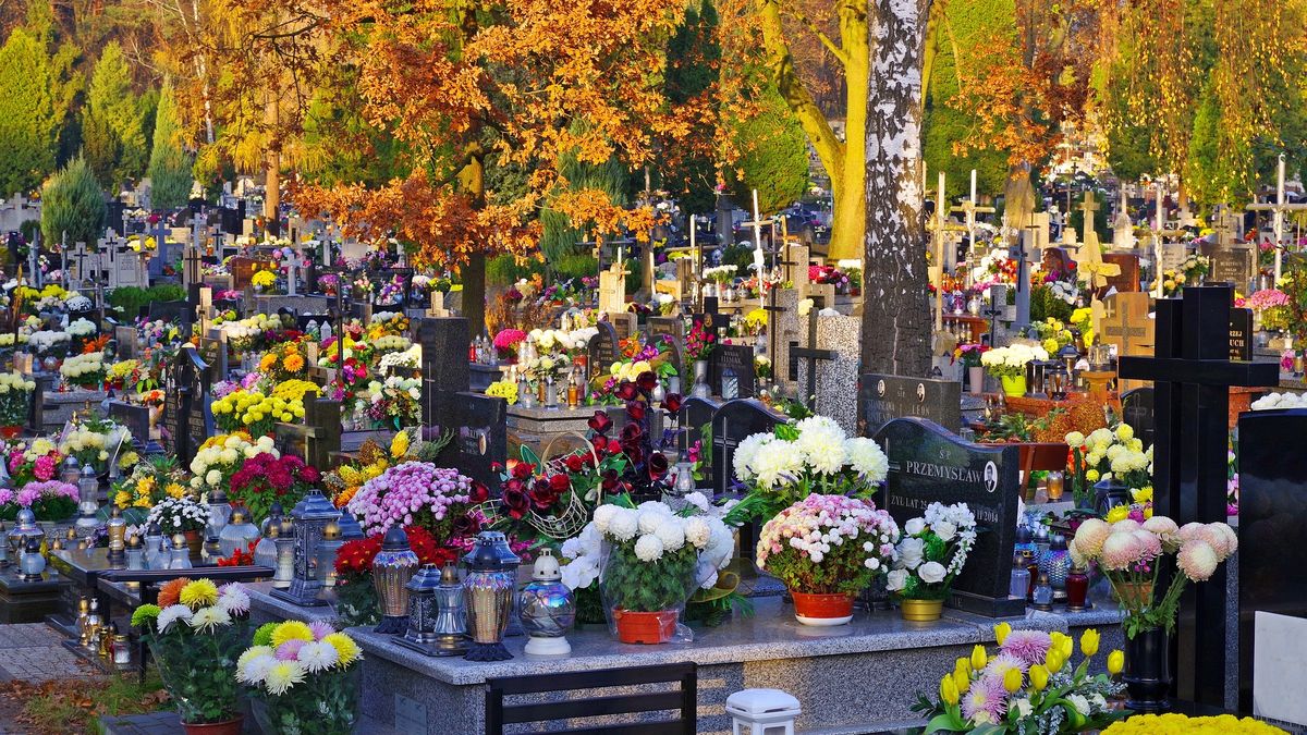 Kwiaty na grobach mogą zachować świeżość na dłużej. Potrzebna jedynie zapałka