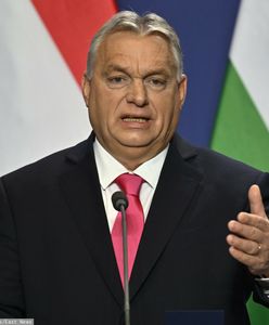Orban rośnie w siłę. Pomógł rząd Morawieckiego