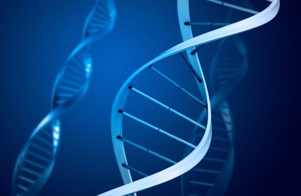 Czy jesteśmy inteligentni z powodu błędu kopiowania DNA? 1