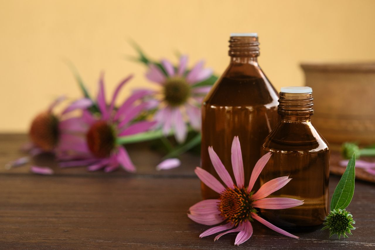 Nalewka a odporność