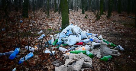 Zaczyna się od papierka po lodach. Kończy na kontenerach gruzu. Lasy wciąż toną w śmieciach