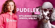 Wystartował bezpłatny Pudelek VIP! Zaloguj się i odkryj świetne artykuły, konkursy oraz rabaty
