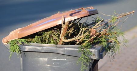 Eco Harmonogram – sprawdź w smartfonie, kiedy w twoim mieście wywożą śmieci