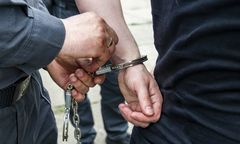 Miał opiekować się labradorem i znaleźć mu dom. Zabił psa, wieszając go na drzewie