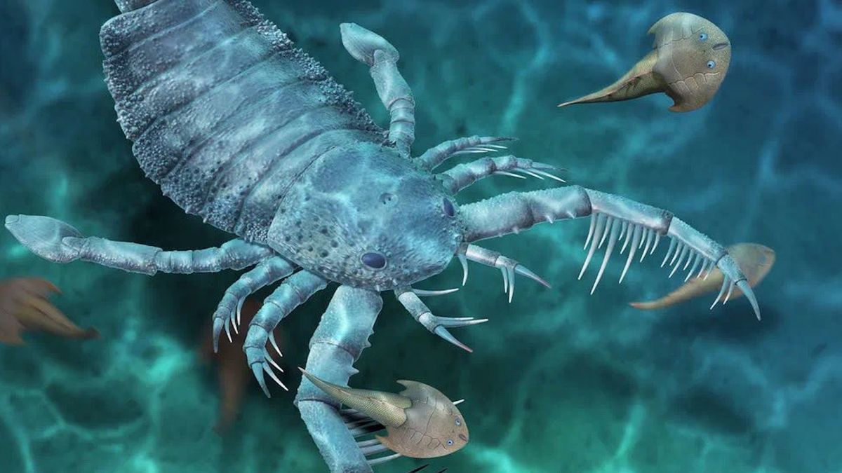 Chińczycy znaleźli skamielinę datowaną na 435 mln lat 