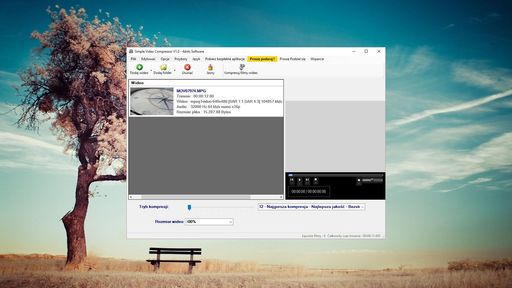 Simple Video Compressor