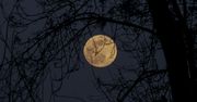 Krwawa pełnia w październiku i zaćmienie Księżyca. Nocny spektakl nadchodzi