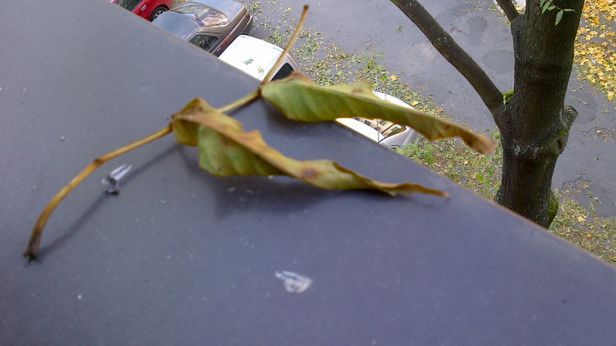 BlackBerry PlayBook [podsumowanie testów] 9