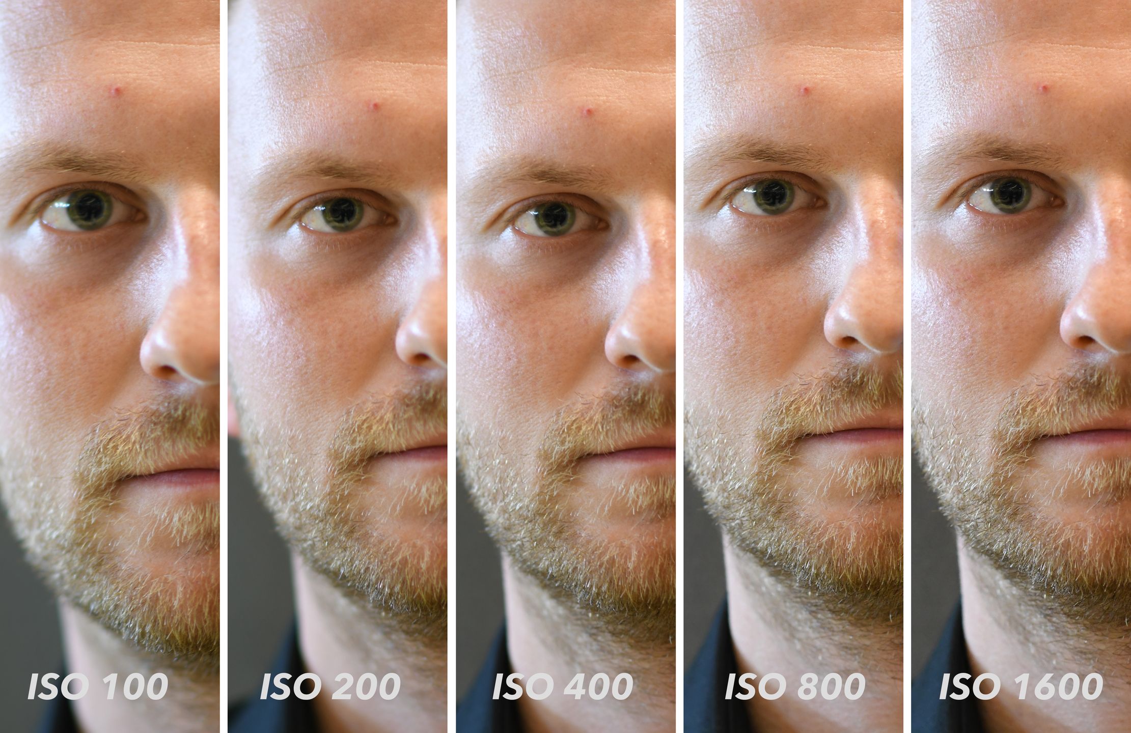 Nikon D500 - pierwsze w Polsce zdjęcia testowe i porównanie szumów 10