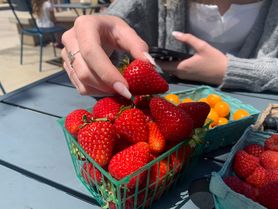 Truskawki z Biedronki czy Lidla? Sprawdzono pod kątem zawartości pestycydów