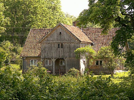 Obraz