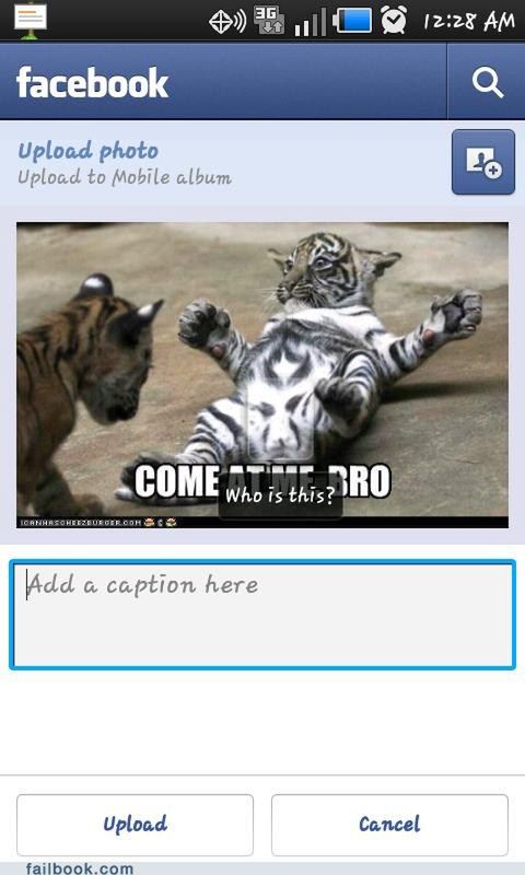 Fot. Funny Facebook Pictures