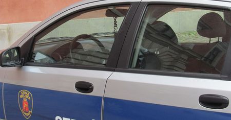 Bilet zamiast mandatu. Akcja Straży Miejskiej na Śląsku