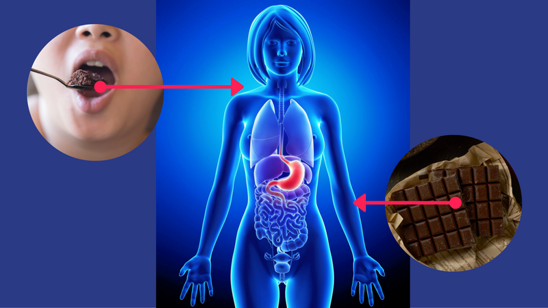 Jedzenie czekolady nie jest takie złe dla organizmu