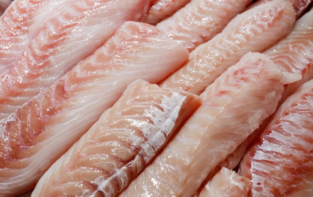 Is this fish safe? Risks in consuming farmed fillets