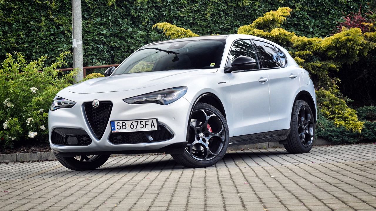 Test wideo: Alfa Romeo Stelvio – też będzie jak Ibisz?