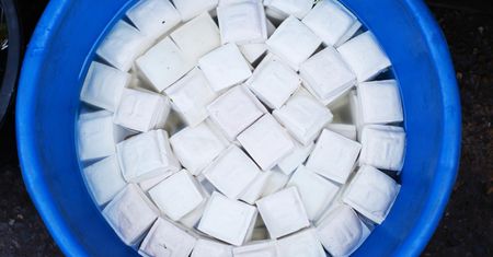 Fenomenalne doniesienia naukowców. Chronią przed 14 nowotworami