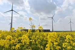 IBRiS: Polacy nie mają wątpliwości. Zmianom klimatu winny jest człowiek