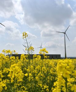 IBRiS: Polacy nie mają wątpliwości. Zmianom klimatu winny jest człowiek