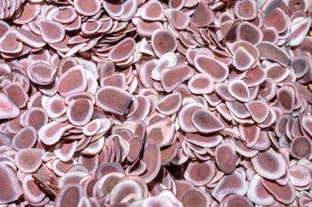 Badania trwały 17 lat. 57 proc. więcej zgonów z powodu raka