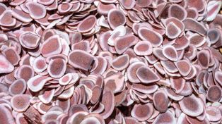 Badania trwały 17 lat. 57 proc. więcej zgonów z powodu raka