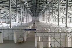 Koronawirus. Ponad 12 tys. zakażeń w Polsce. Jak wygląda sytuacja we Wrocławiu? [18.04.2021]