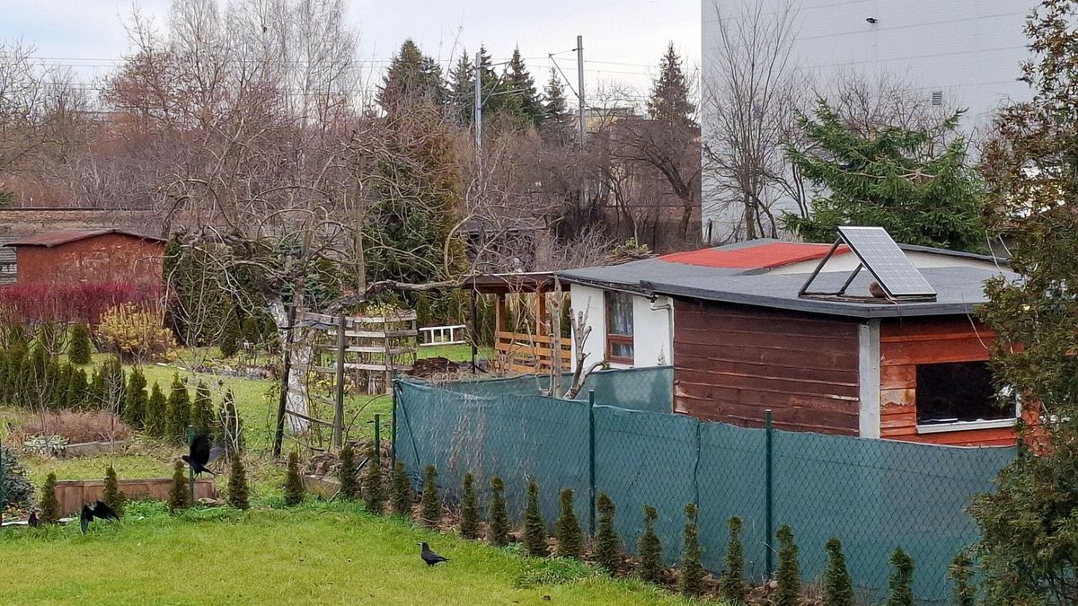 Tego nie wolno robić na działkach. Grożą wysokie kary