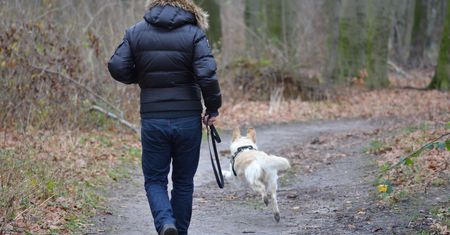Mandaty dla właścicieli psów. Entuzjaści czworonogów mogą mieć problem