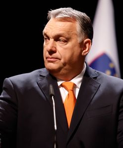 Kontrola wyborów na Węgrzech. Ordo Iuris zamiast OBWE