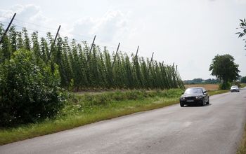 Branża piwna mocnym filarem budżetu. Dane są jednoznaczne