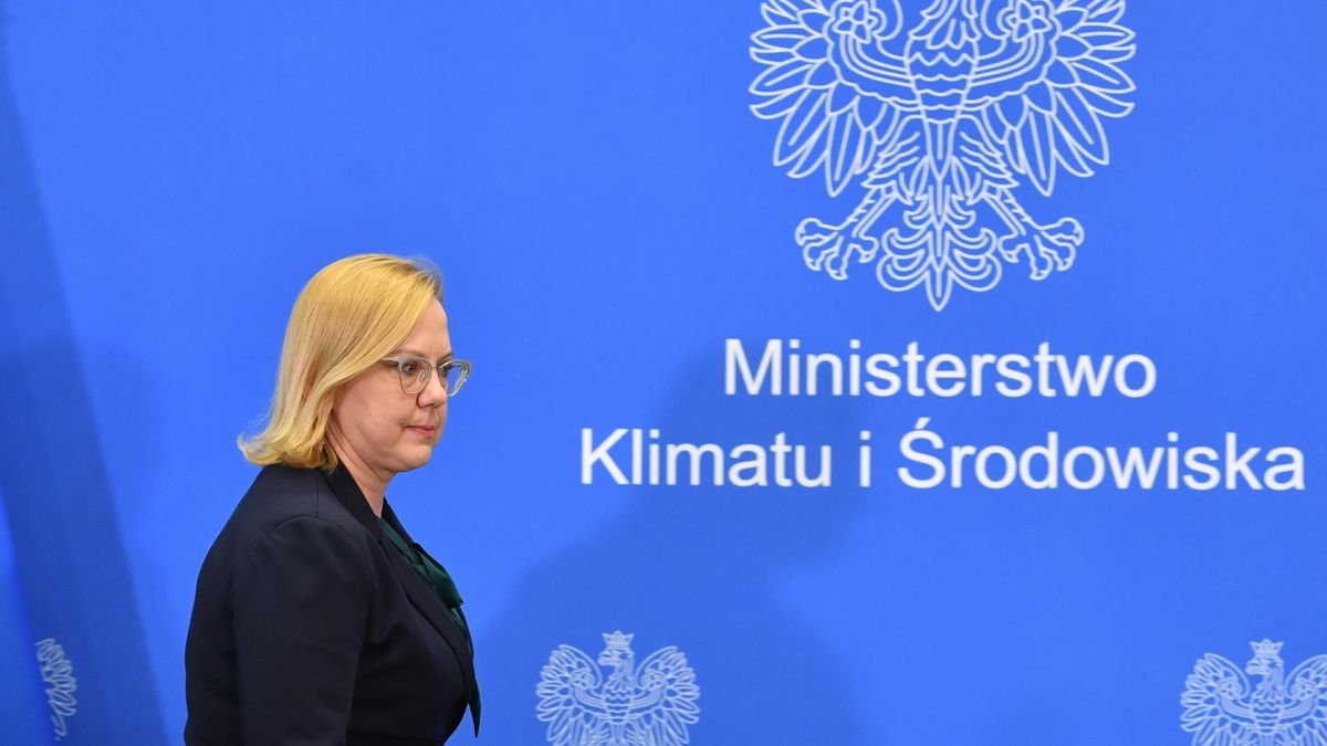  wspomożemy sprzedawców, którzy będą sprzedawać węgiel po "akceptowalnej cenie"