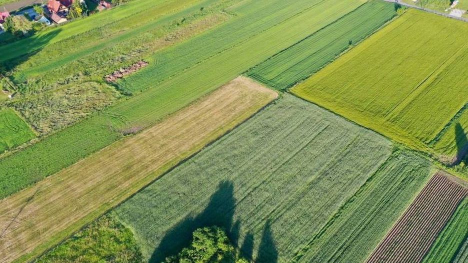 Śląskie. Odpowiedzialne za przykre zapachy w Gliwicach ma być nawożenie okolicznych pól.