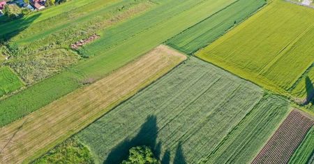 Gliwice. Śmierdząca sprawa w centrum miasta. Podejrzenie znów padło na oczyszczalnię