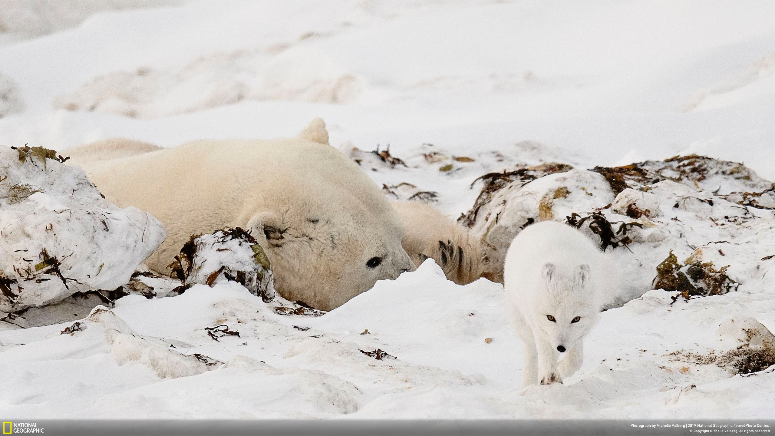 Niesamowite zdjęcia finalistów National Geographic Travel Contest 2019 15