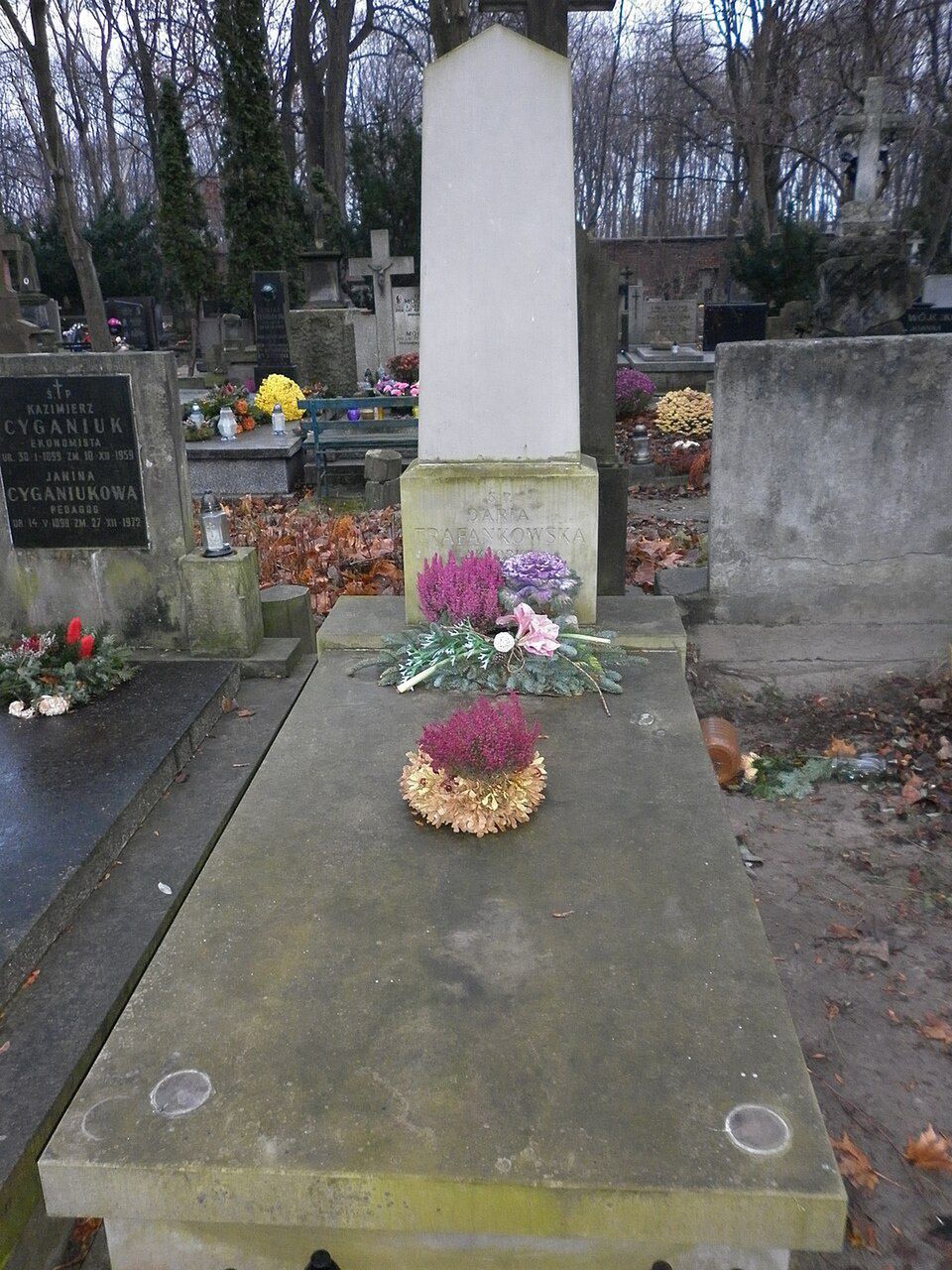 Grób Darii Trafankowskiej na Starych Powązkach