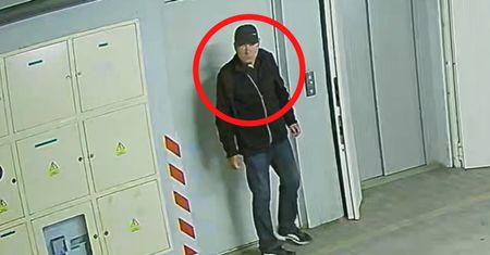 Czaił się i rozglądał. Po chwili coś takiego. Ręce opadają