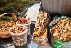 Na bazarach powariowali. Tak drogo nie było od lat