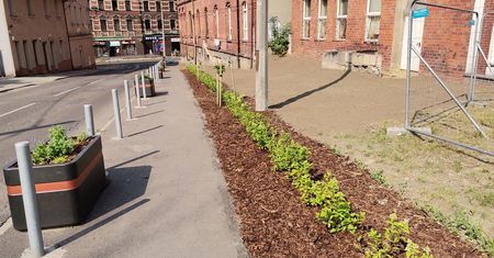 Katowice. Miasto realizuje "zielone" pomysły