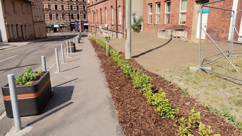 Katowice. Dzięki pomysłom mieszkańców katowickie ulice są coraz bardziej zielone.