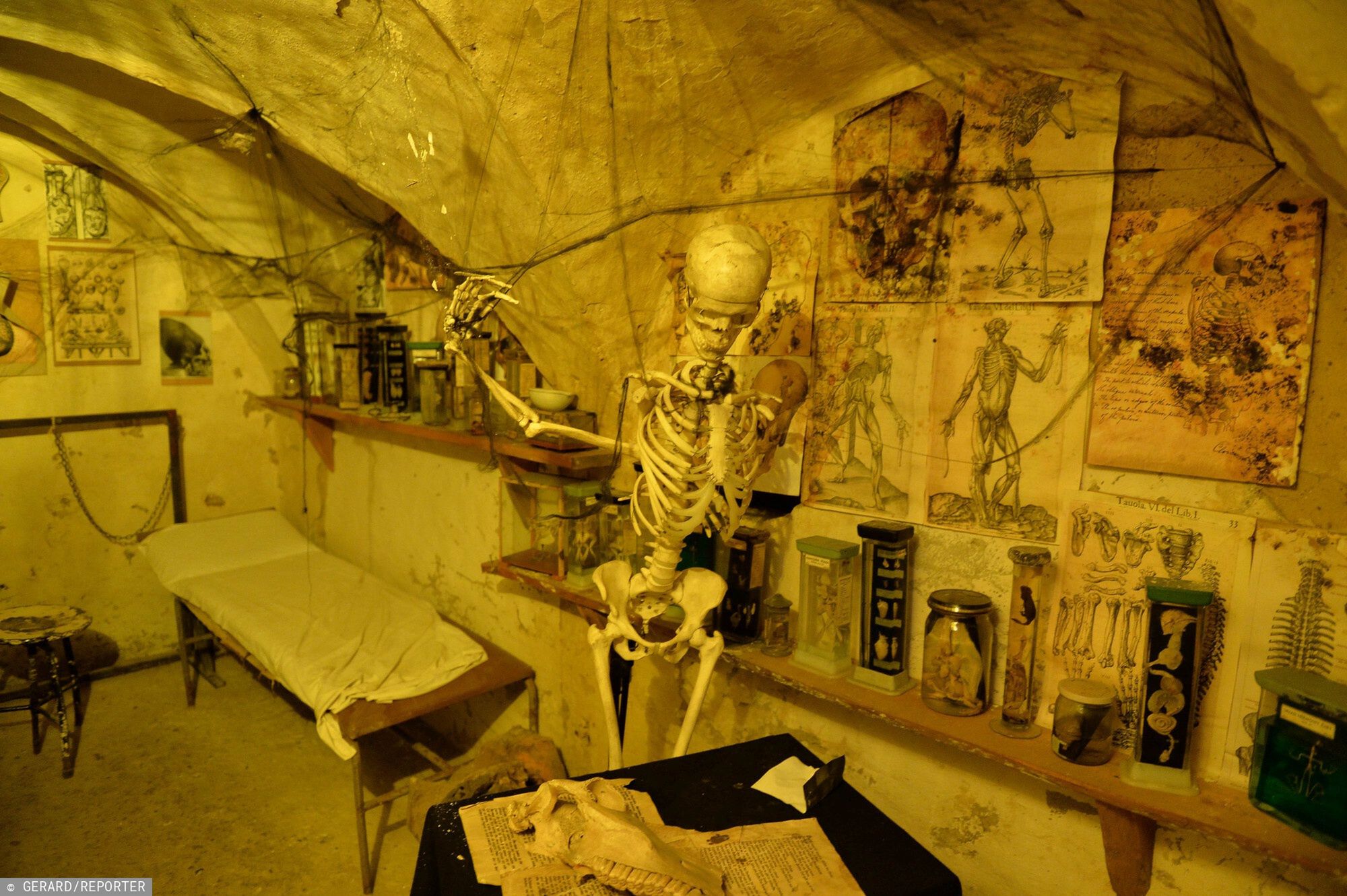 Laboratorium Frankensteina 