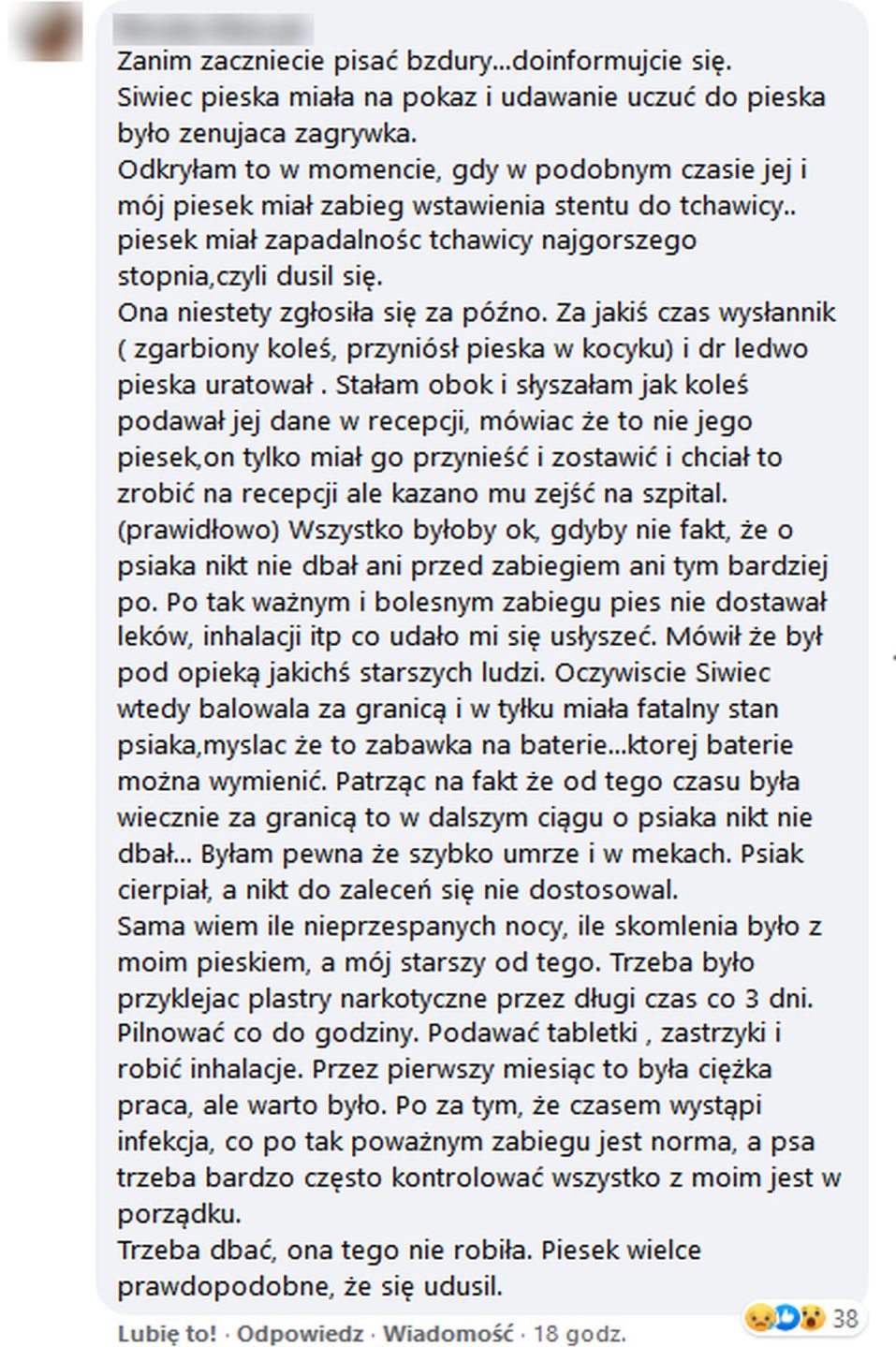 Natalia Siwiec w ogniu krytyki po śmierci psa