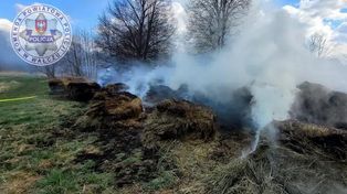 Mirosławiec: Pożar balotów słomy. Trzech nieletnich stanie przed sądem