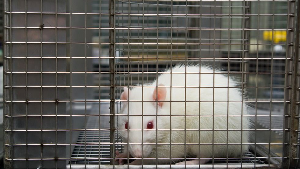 Jak manipuluje nami Facebook? Wszystko, co widzimy, może być eksperymentem 1